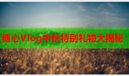 糖心Vlog中秋特别礼物大揭秘