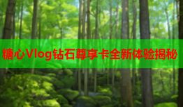 糖心Vlog钻石尊享卡全新体验揭秘