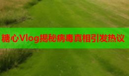 糖心Vlog揭秘病毒真相引发热议