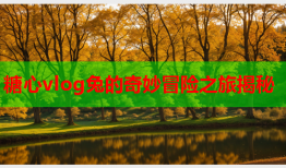 糖心vlog兔的奇妙冒险之旅揭秘