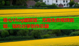 糖心Vlog破解版：无限免费视频编辑，轻松分享创作乐趣