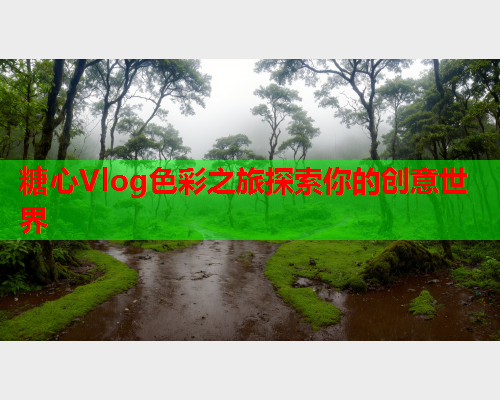 糖心Vlog色彩之旅探索你的创意世界