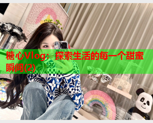 糖心Vlog：探索生活的每一个甜蜜瞬间(2)