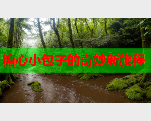 糖心小包子的奇妙新旅程