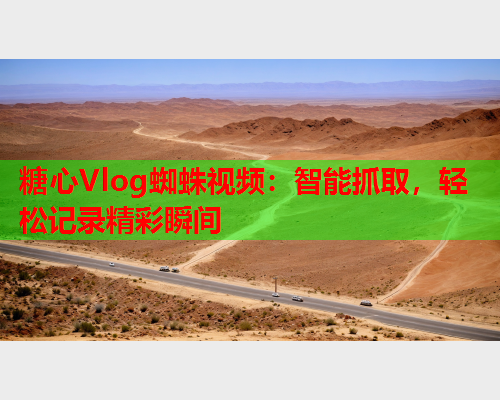 糖心Vlog蜘蛛视频：智能抓取，轻松记录精彩瞬间
