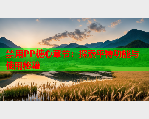 禁用PP糖心章节：探索平特功能与使用秘籍